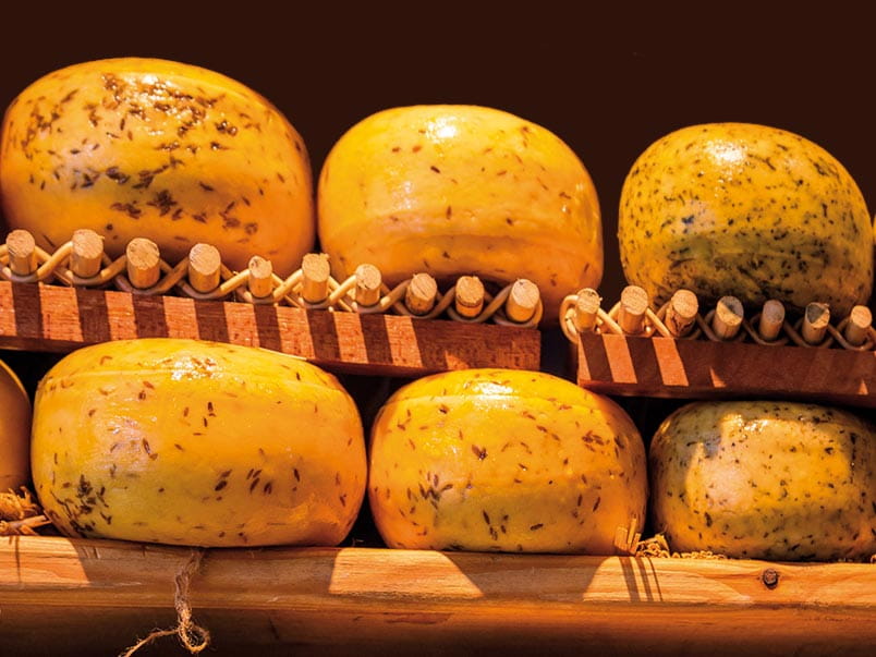 Cheese wheels on shelves in the the Netherlands
